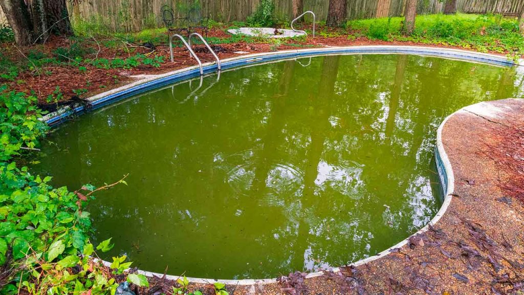 A single neglected pool can produce millions of potentially WNV-infected mosquitoes.