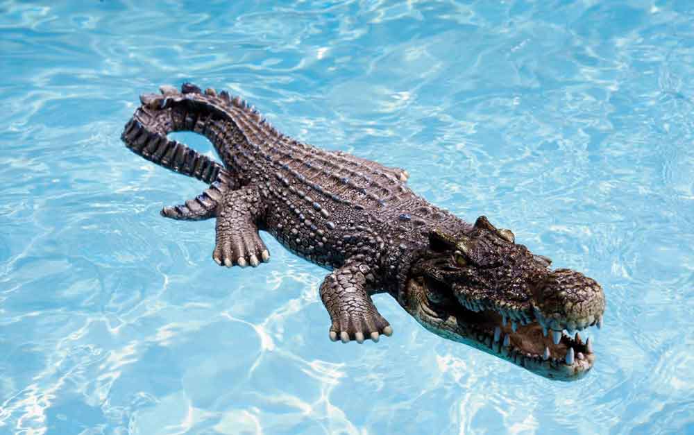 Poolmaster 30-Inch Floating Crocodile Decoy for Pool