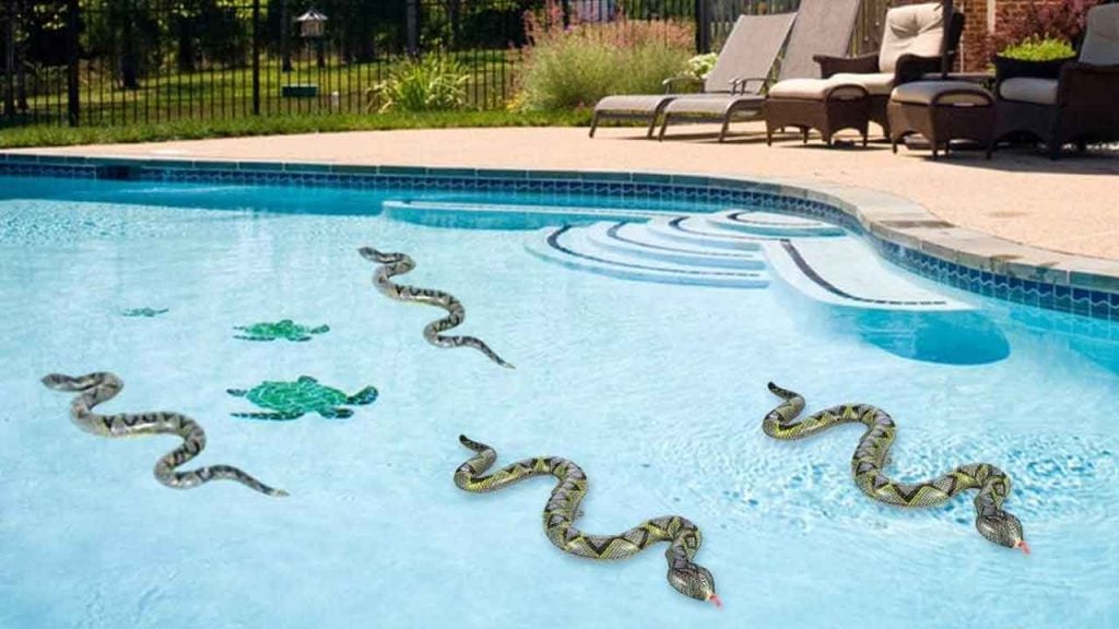 Inflatable Snake Decoy for Swimming Pools