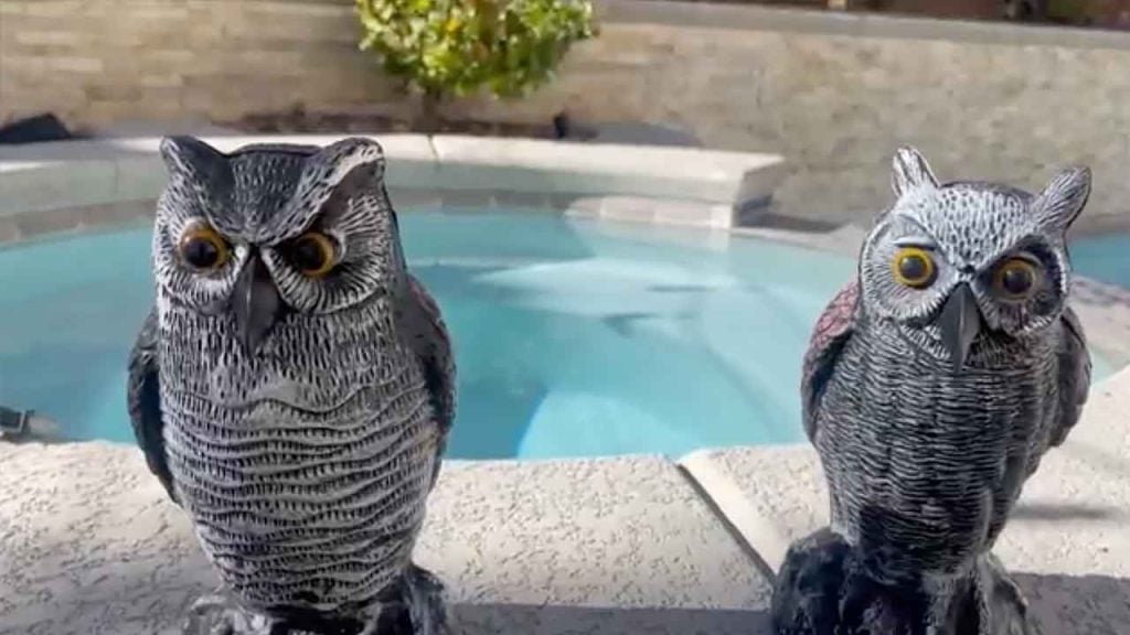 Hausse 2 Pack Fake Horned Owl - Bird / Critter Repellent for Pools / Backyard