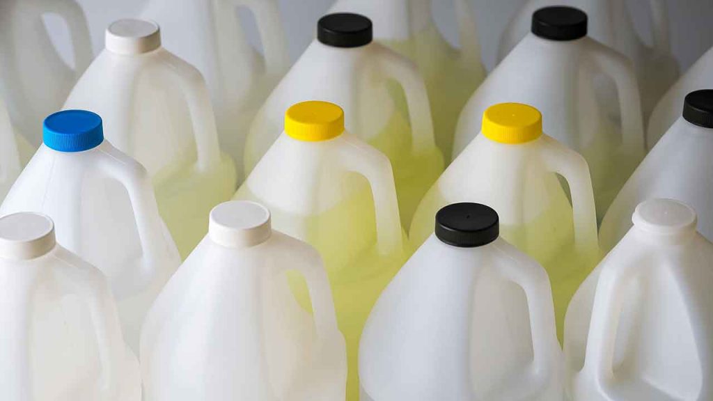 Four municipal workers are accused of stealing thousands of dollars in pool chemicals and double-billing for lifeguard certification fees.